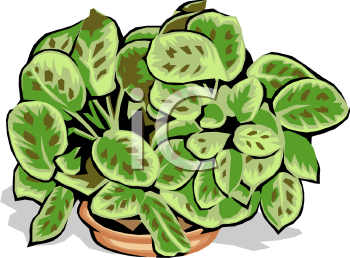 Nature and Scenic Clipart