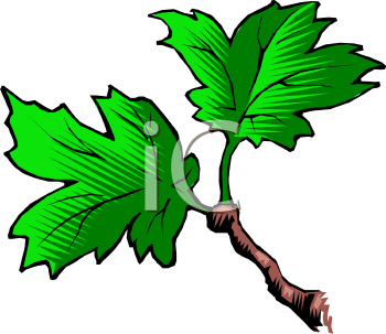 Nature and Scenic Clipart