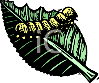 Nature and Scenic Clipart