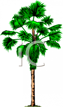 Nature and Scenic Clipart