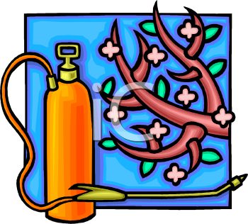 Nature and Scenic Clipart
