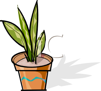 Nature and Scenic Clipart