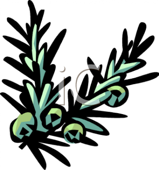 Nature and Scenic Clipart