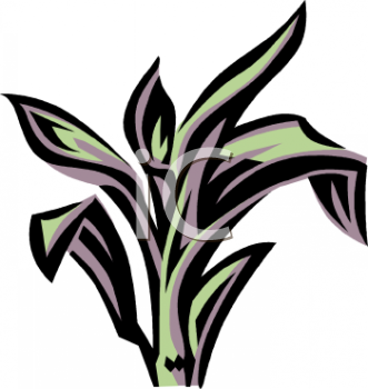 Nature and Scenic Clipart