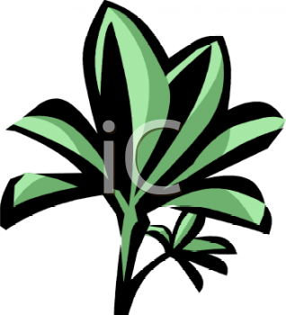 Nature and Scenic Clipart