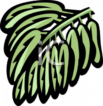 Nature and Scenic Clipart