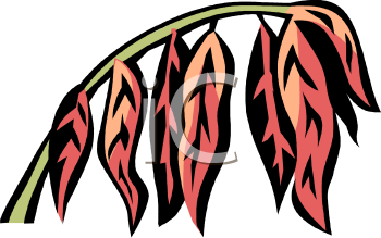 Nature and Scenic Clipart