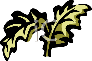Nature and Scenic Clipart