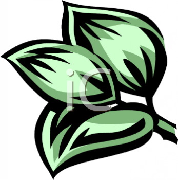 Nature and Scenic Clipart