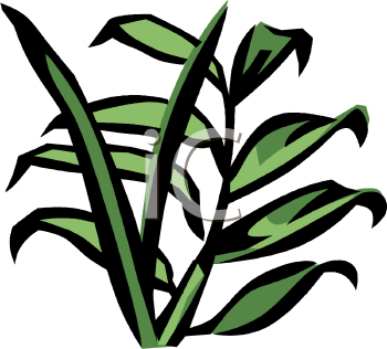 Nature and Scenic Clipart