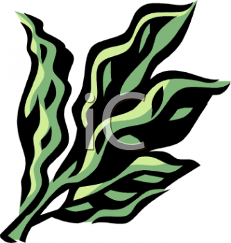 Nature and Scenic Clipart