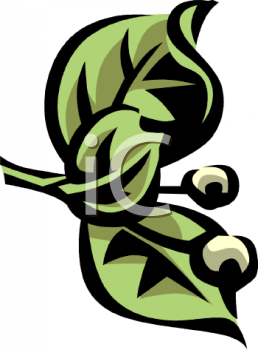 Nature and Scenic Clipart