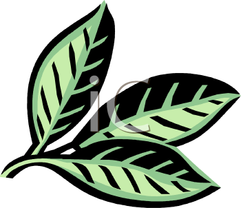 Nature and Scenic Clipart