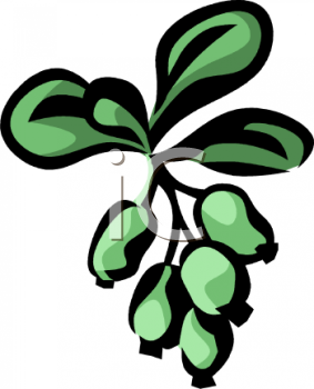 Nature and Scenic Clipart