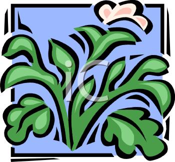 Nature and Scenic Clipart