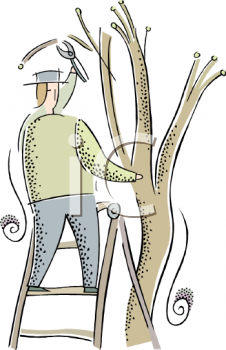 Grass and Tree Clipart