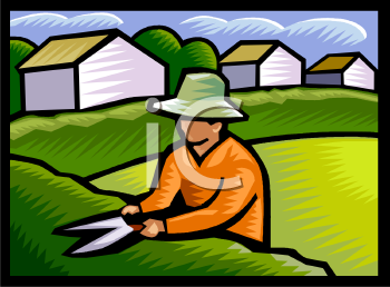 Nature and Scenic Clipart