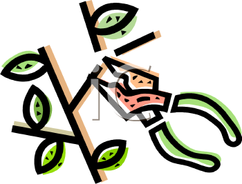 Nature and Scenic Clipart