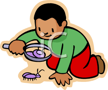 Insect Clipart