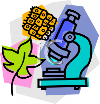 Science Clipart