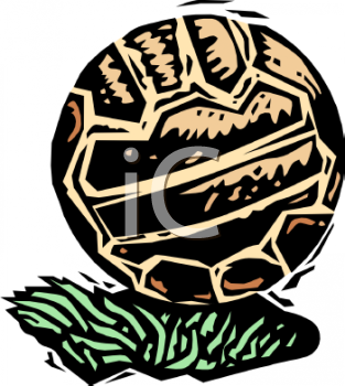 Sport Clipart