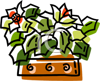 Flower Clipart