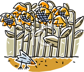 Flower Clipart