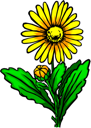 Flower Clipart