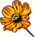 Flower Clipart