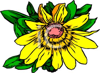 Flower Clipart