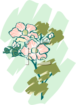 Flower Clipart