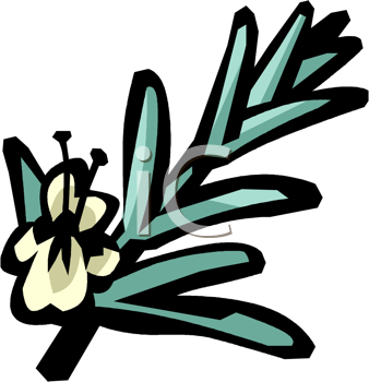 Plant Clipart