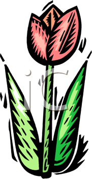 Flower Clipart