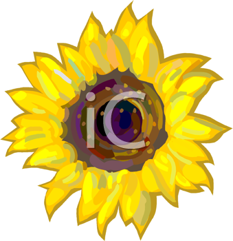 Flower Clipart