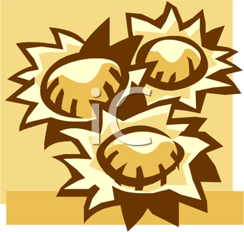Flower Clipart