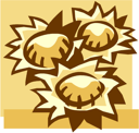 Flower Clipart