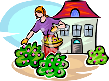 Horticulture Clipart