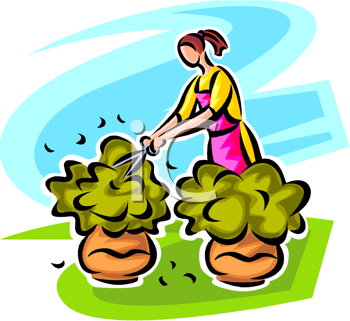 Horticulture Clipart