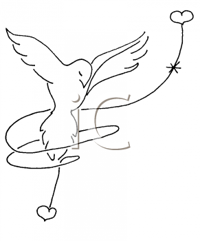 Insect Clipart