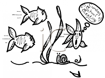 Mollusk Clipart