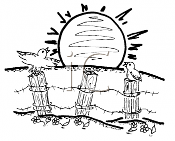 Bird Clipart