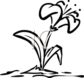 Nature and Scenic Clipart