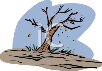 Nature and Scenic Clipart