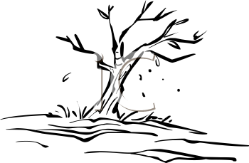 Nature and Scenic Clipart