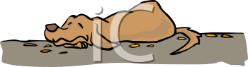 Pet Clipart
