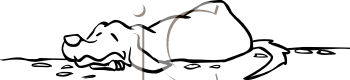 Pet Clipart