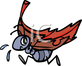 Insect Clipart