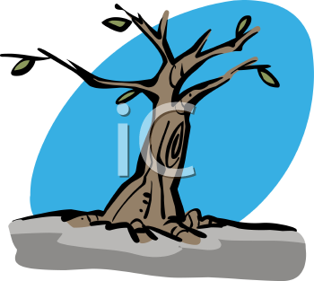 Nature and Scenic Clipart