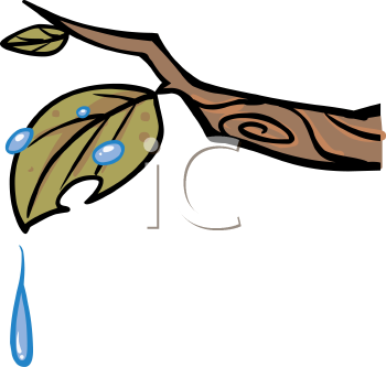 Nature and Scenic Clipart