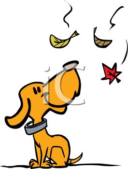 Dog Clipart